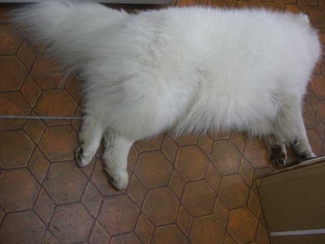 b0120492_13432164.jpg