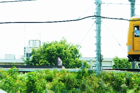 d0133693_2131853.jpg