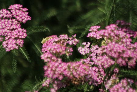 d0133693_2152380.jpg