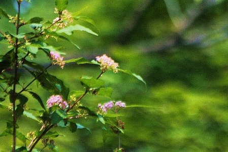 d0133693_2155071.jpg