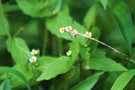 d0133693_216352.jpg