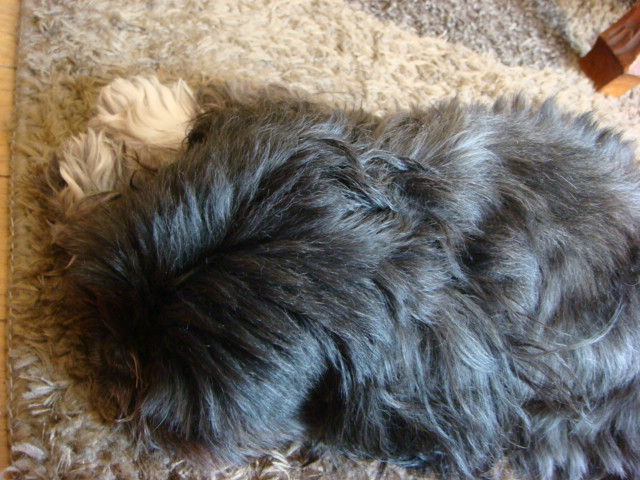 f0137694_213886.jpg