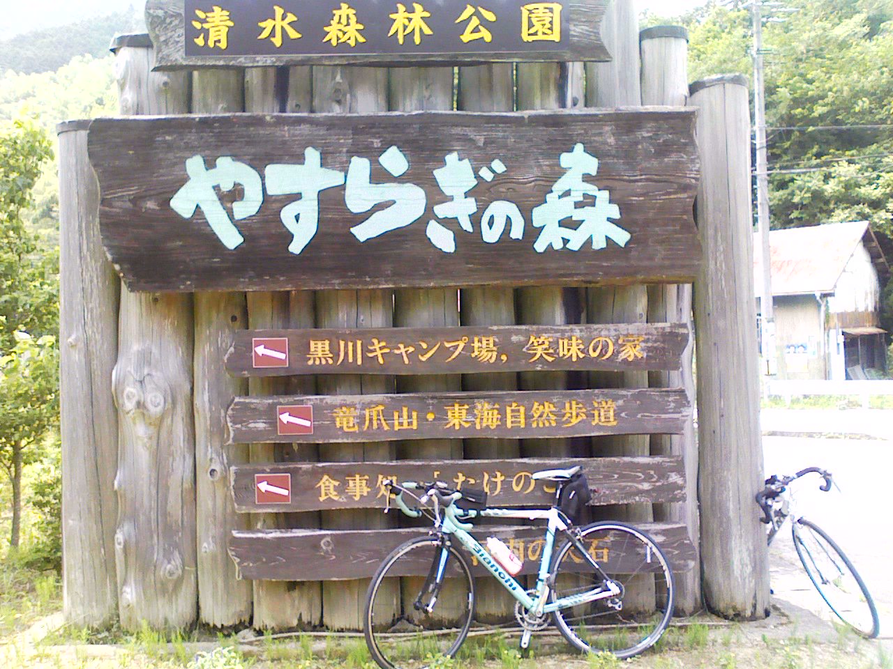 c0133096_2313944.jpg