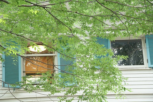 b0145398_19185156.jpg