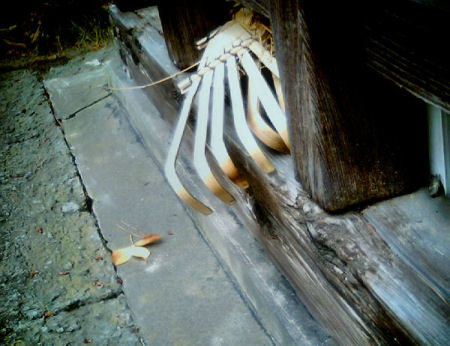 c0165101_611289.jpg