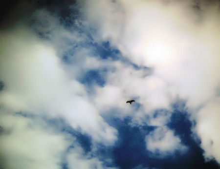 c0165101_612303.jpg