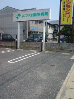 d0050003_0332525.jpg