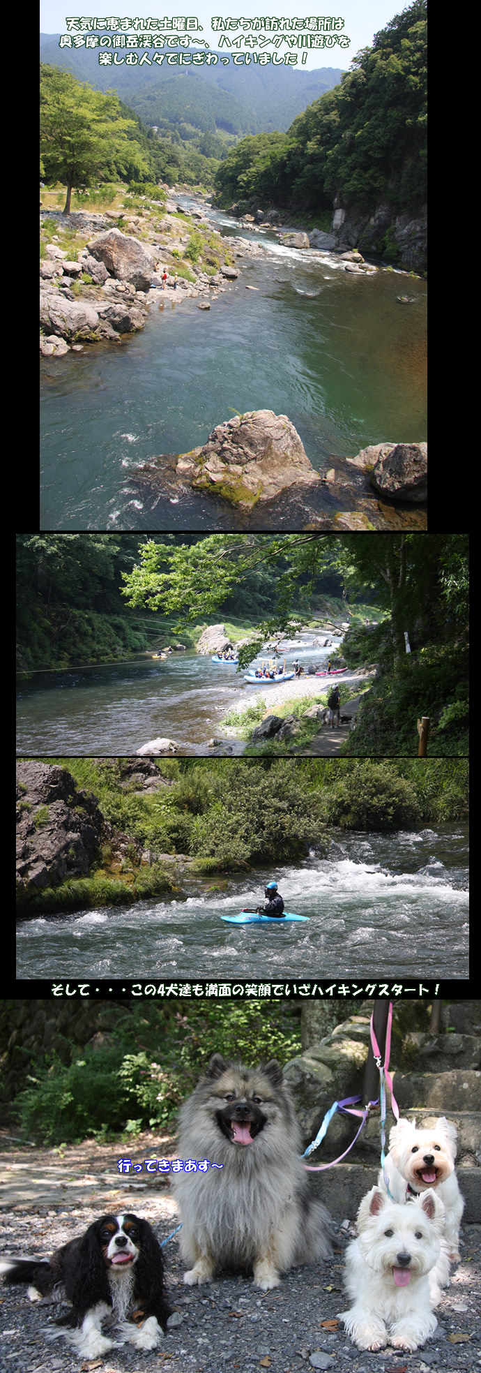 e0149903_1553749.jpg