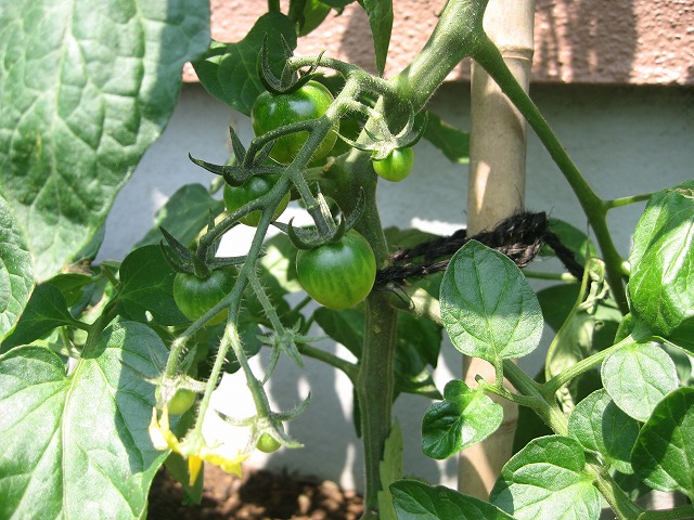 f0202703_2351120.jpg