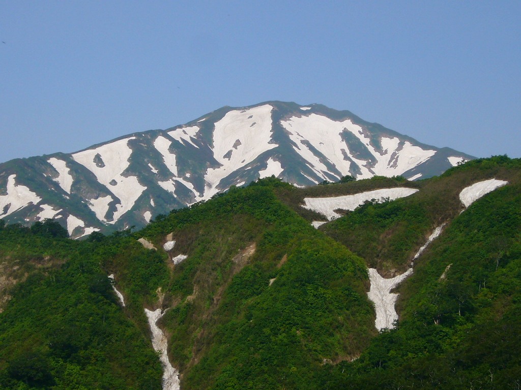 b0050305_1040440.jpg
