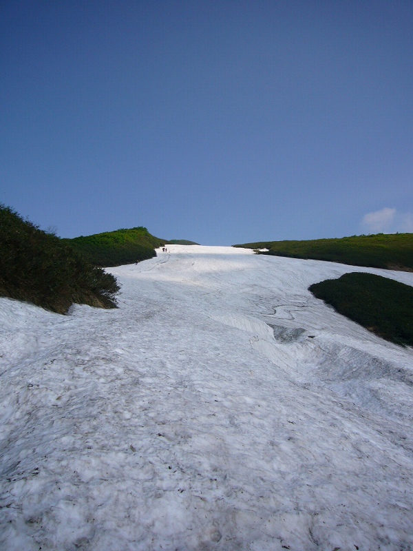 b0050305_951022.jpg