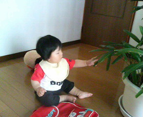 d0149105_1712322.jpg