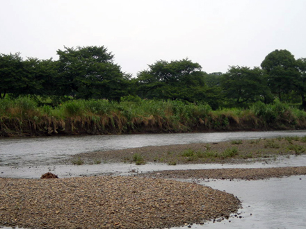 e0098605_17152614.jpg