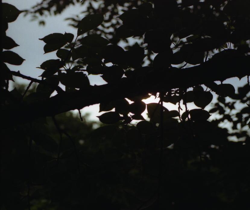 d0071507_17353285.jpg
