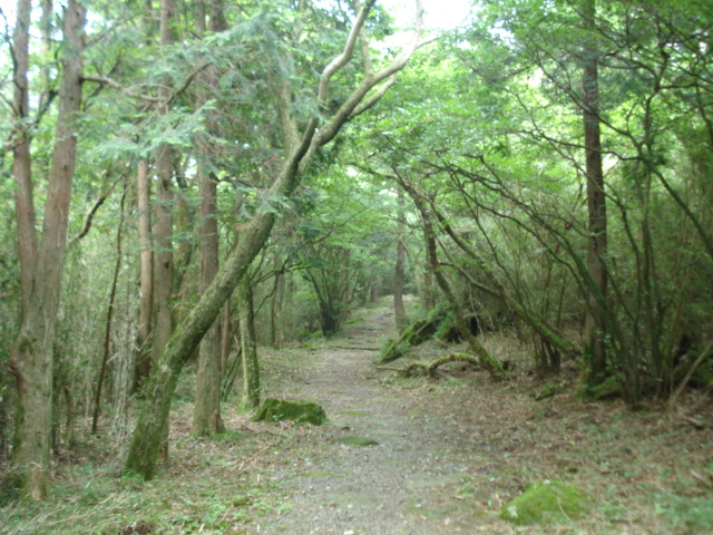 e0015108_1222418.jpg