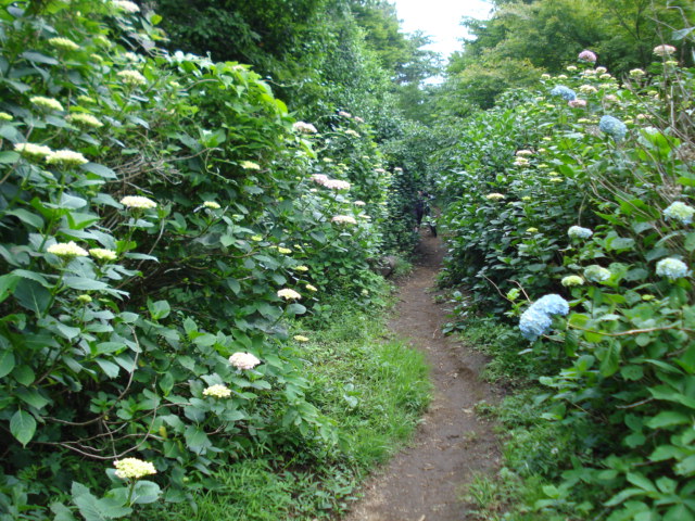 e0015108_12303151.jpg