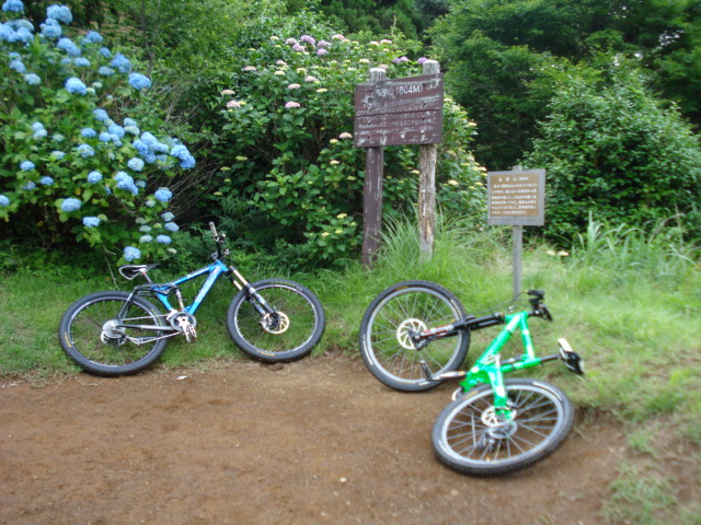 e0015108_12313979.jpg
