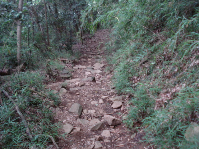 e0015108_12494969.jpg