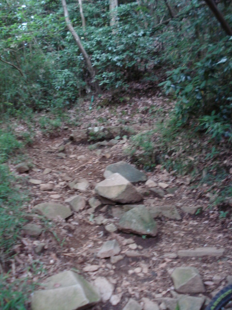 e0015108_12503517.jpg