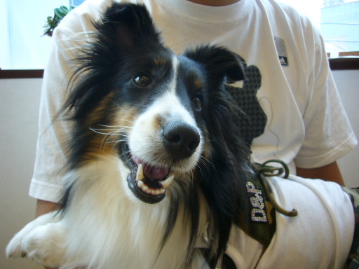 e0130008_18135279.jpg