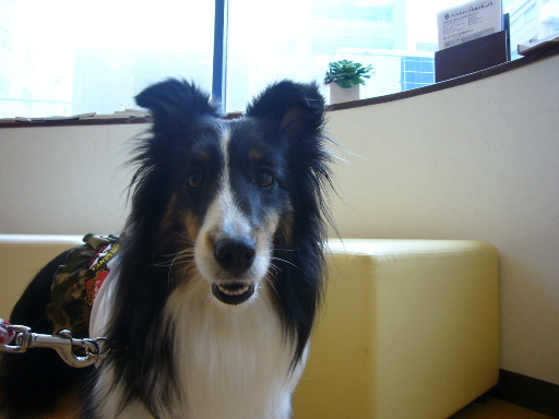 e0130008_18232013.jpg