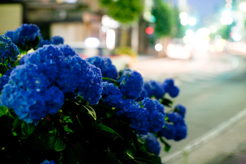 d0146912_22125626.jpg