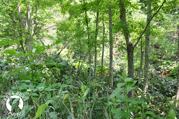 b0118920_2128288.jpg