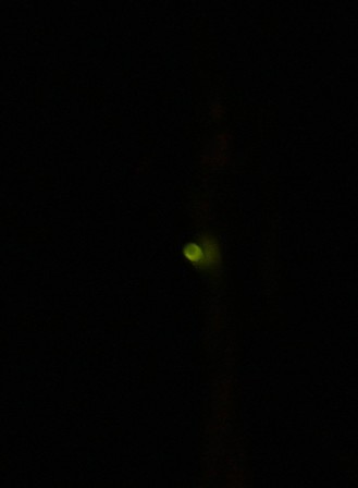 e0123322_10334597.jpg