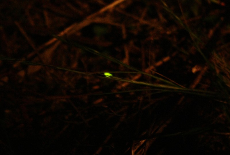 e0123322_10471470.jpg