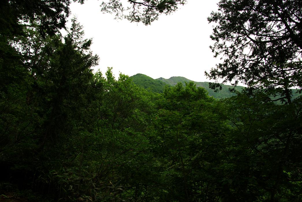 b0062024_10234359.jpg