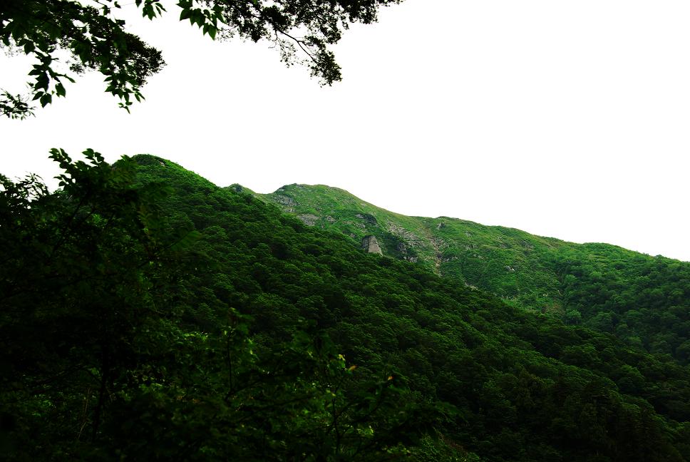 b0062024_10291255.jpg