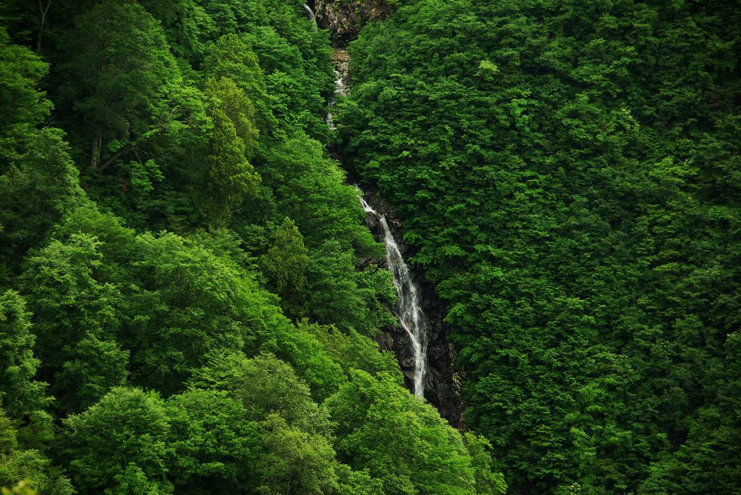 b0062024_10343025.jpg