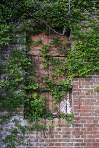c0047024_2541741.jpg