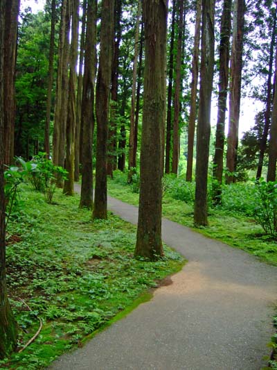 f0147025_2123271.jpg