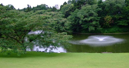 f0147025_21312620.jpg
