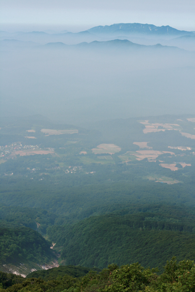 e0055626_23395025.jpg
