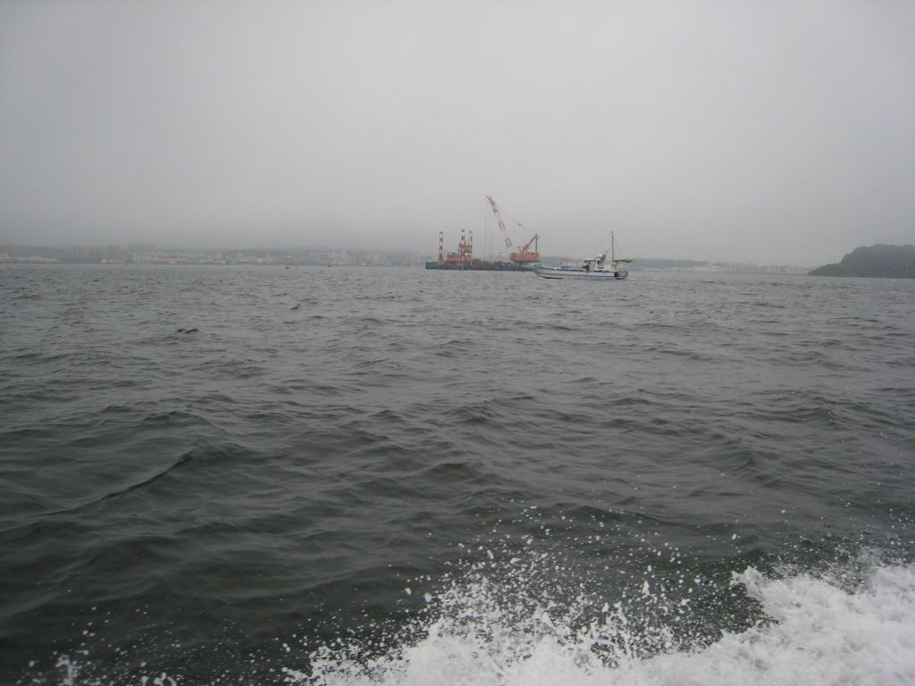 b0173629_18505420.jpg