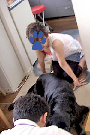 e0044635_11132716.jpg