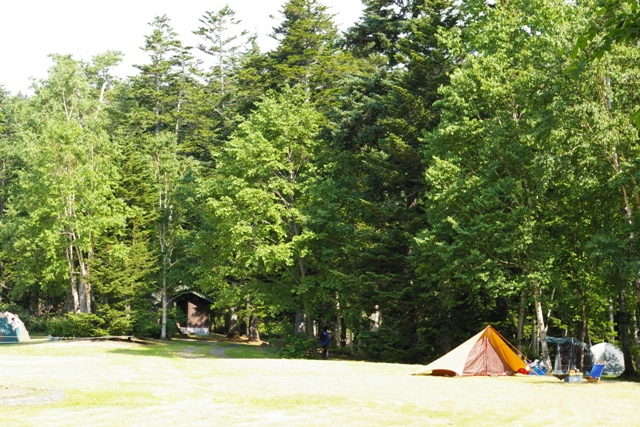 c0105338_12144996.jpg