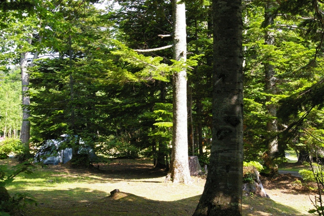 c0105338_17224726.jpg