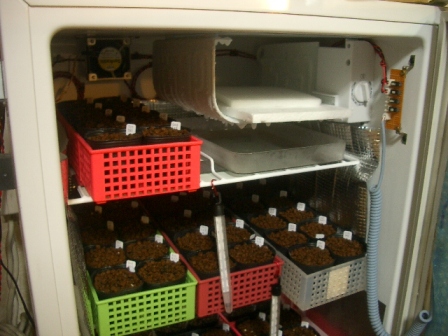 c0025140_0274427.jpg