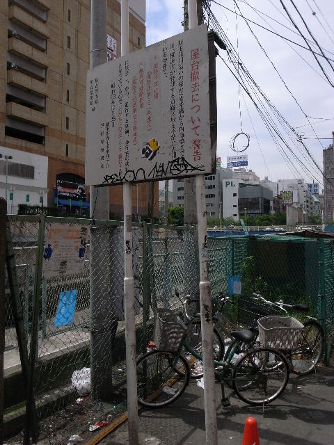 a0087341_725504.jpg