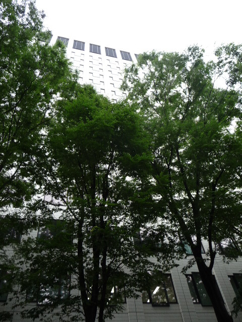 b0190242_13310100.jpg