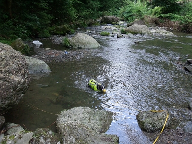 e0126046_23473270.jpg