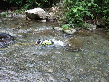 e0126046_2347387.jpg