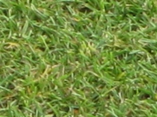 e0018350_230534.jpg