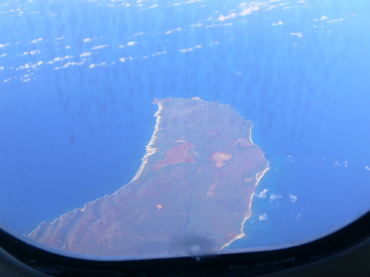 e0050753_5424559.jpg