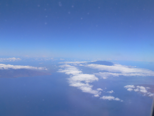 e0050753_543435.jpg