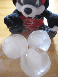 b0159557_19204466.gif
