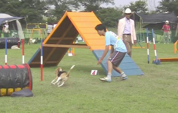 e0007060_17135951.jpg